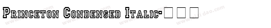 Princeton Condensed Italic字体转换